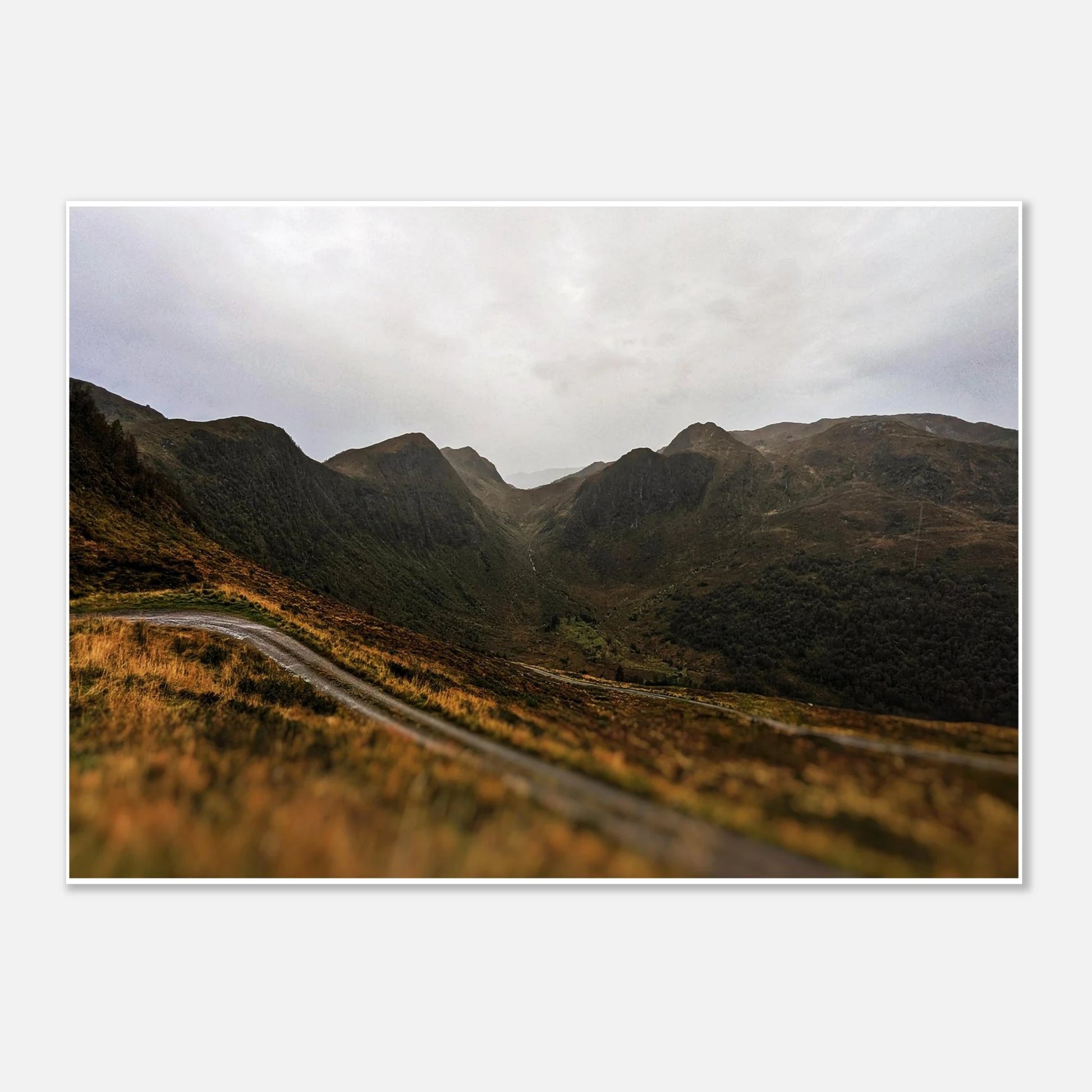 0dbd0d35-12df-4b94-bbfa-641dddd11784