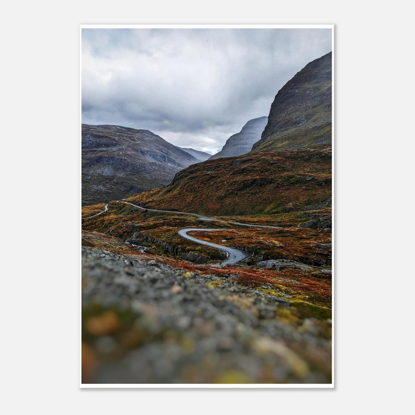 554d668e-8e7e-4299-b727-7ca124174e04